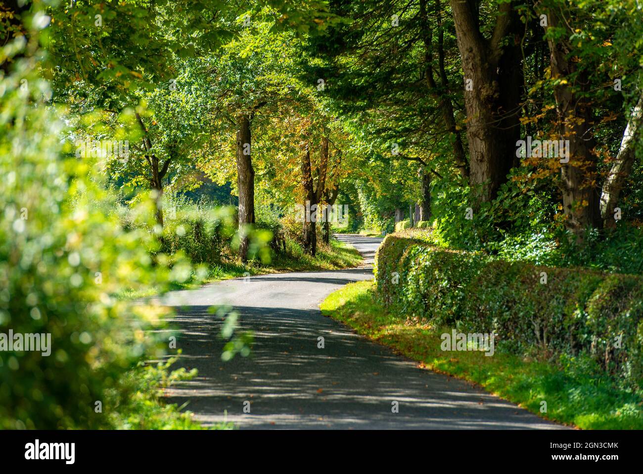 Eine Landstraße im Herbst, Carlisle, Cumbria, Großbritannien Stockfoto