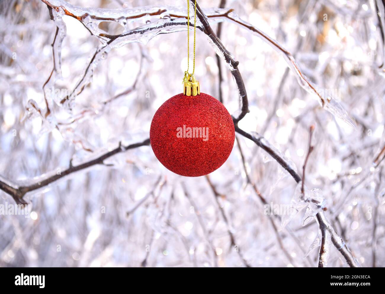 Rotes Weihnachtsspielzeug, das an gefrorenen Zweigen von Bäumen hängt, die mit Eis bedeckt sind. Russland, Winterwald Stockfoto
