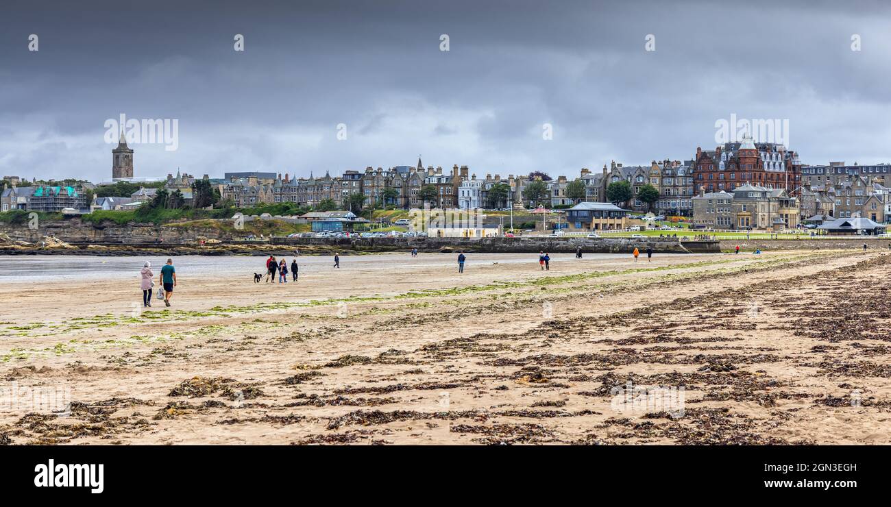 St Andrews in Fife, Schottland, vom Long West Sands Beach aus gesehen. Stockfoto