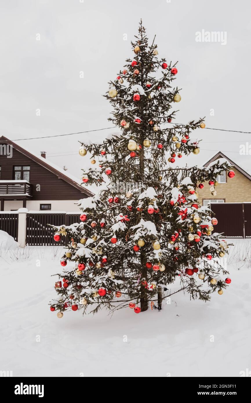 Geschmückter weihnachtsbaum mit goldenen und roten Kugeln und glitzernd mit Schnee auf Tanne bei Schneefall im Freien. Weihnachten mit Schnee. Frohe Weihnachten Stockfoto