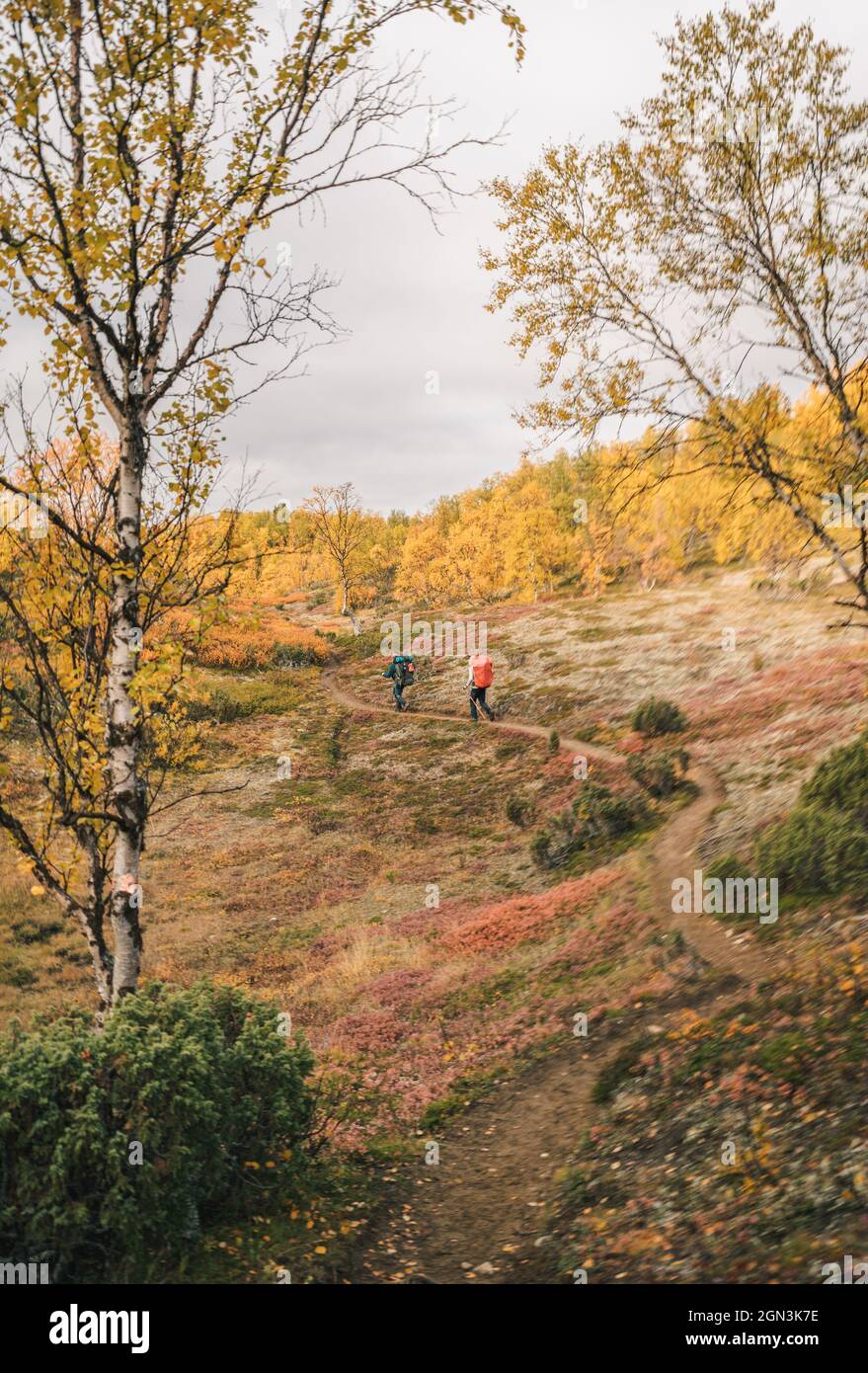 Weg durch die Landschaft des nördlichen Lapplands. Die Landschaft Nordlapplands wurde in Finnland aufgenommen. Herbstfarben und wunderschöne Sehenswürdigkeiten. Stockfoto