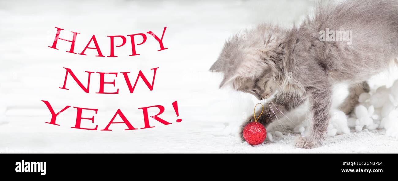 Weihnachtskatzenbanner. Ein kleines graues Kätzchen spielt im Schnee mit einer roten Kugel. Mit Text Frohes neues Jahr. Stockfoto