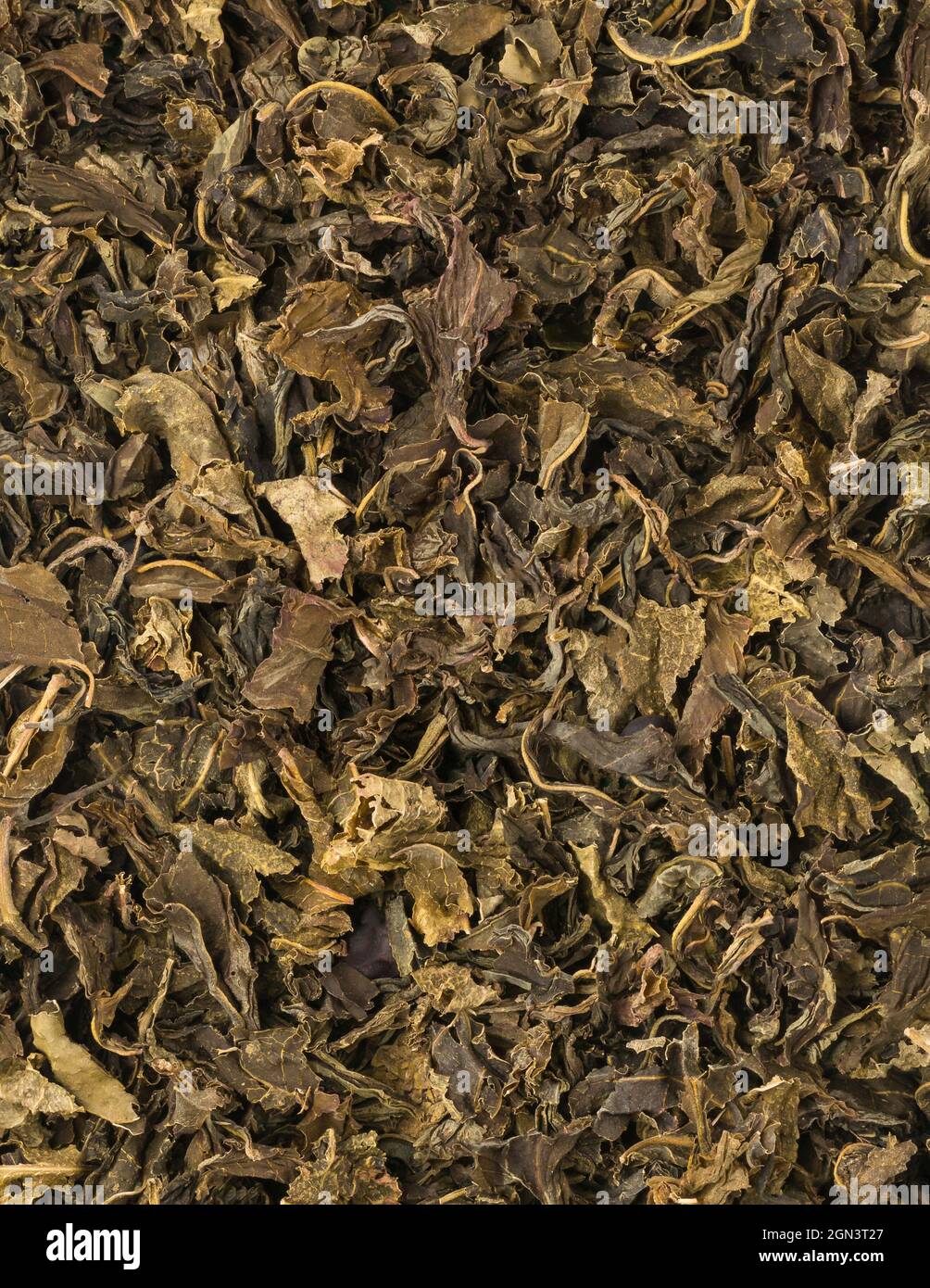 Gebrauchte oder gebraute getrocknete grüne Teeblätter, die als natürlicher organischer Dünger verwendet werden, erhöhen den Nährstoffgehalt und verbessern die Bodenqualität, Nahaufnahme Stockfoto