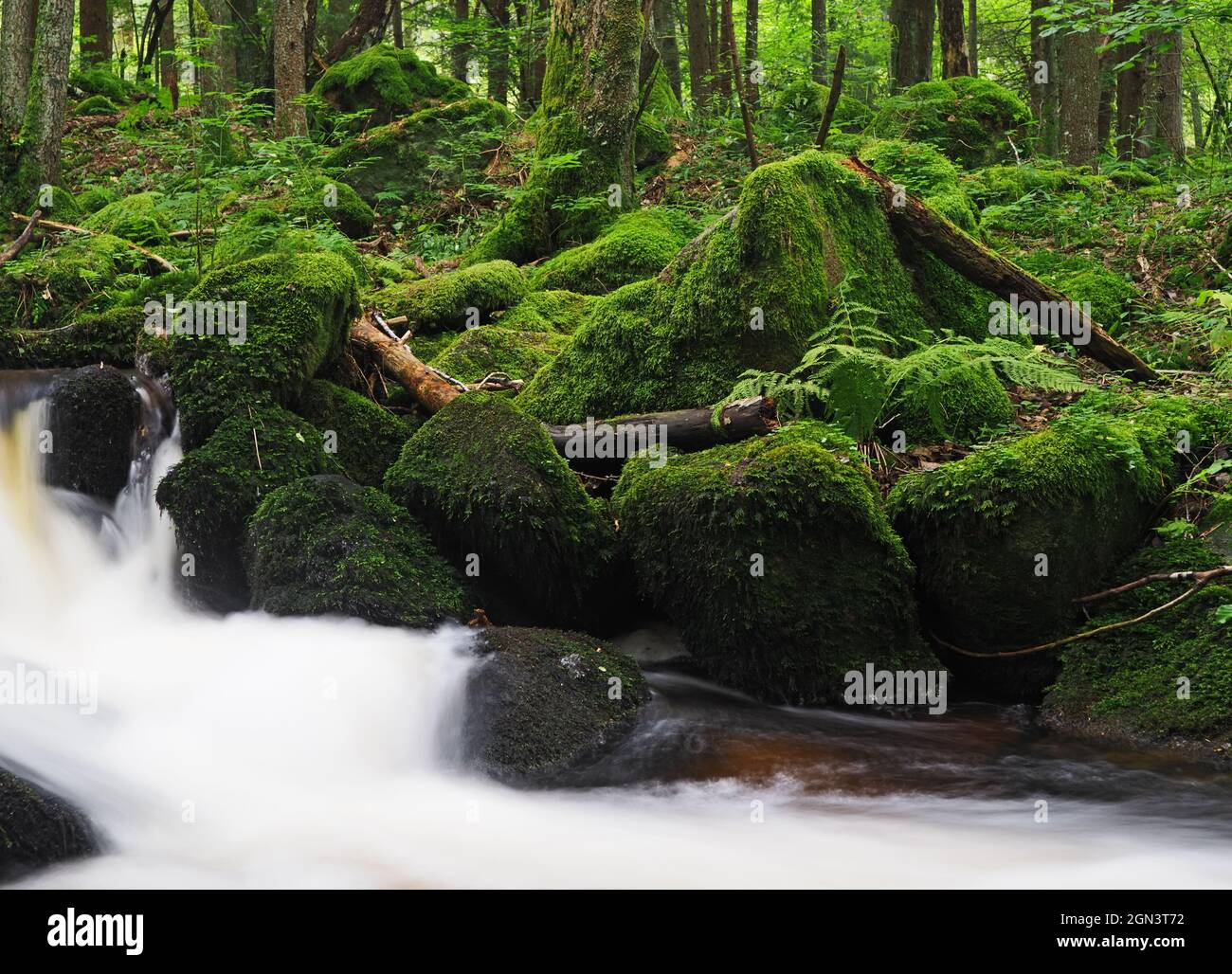 Wasserfall von St.Wolfgang an der Mala Moldau, Sumava Gebirge, Tschechien Stockfoto