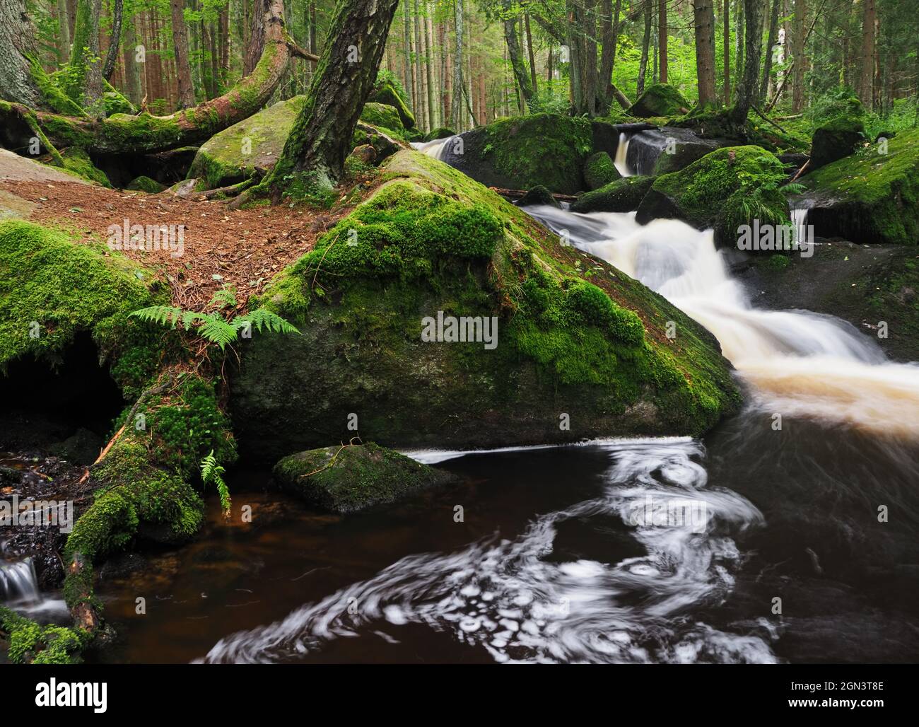 Wasserfall von St.Wolfgang an der Mala Moldau, Sumava Gebirge, Tschechien Stockfoto