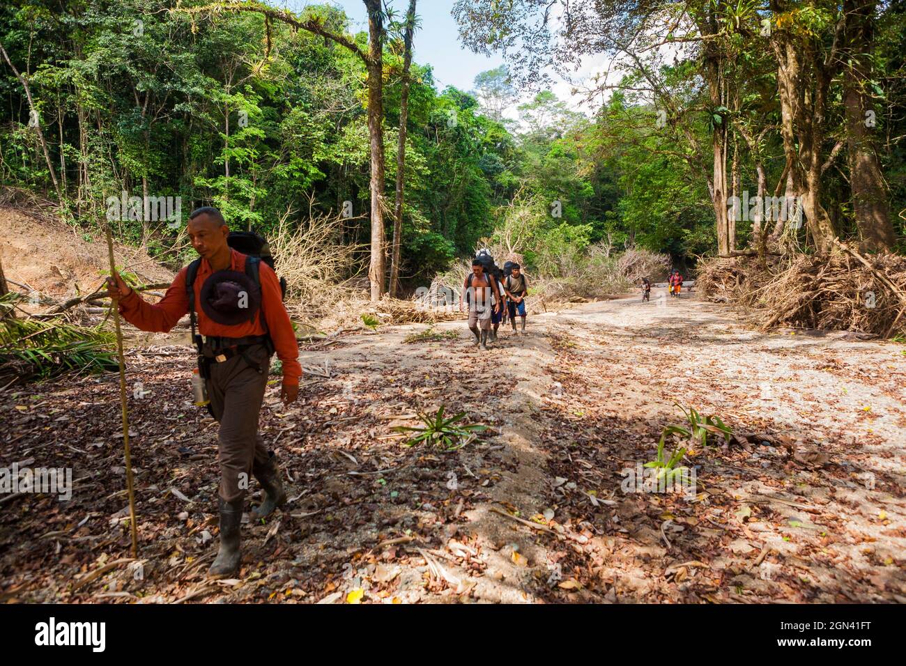 Trekker entlang des alten und überwucherten Camino Real Trail, Chagres Nationalpark, Republik Panama, Mittelamerika. Stockfoto