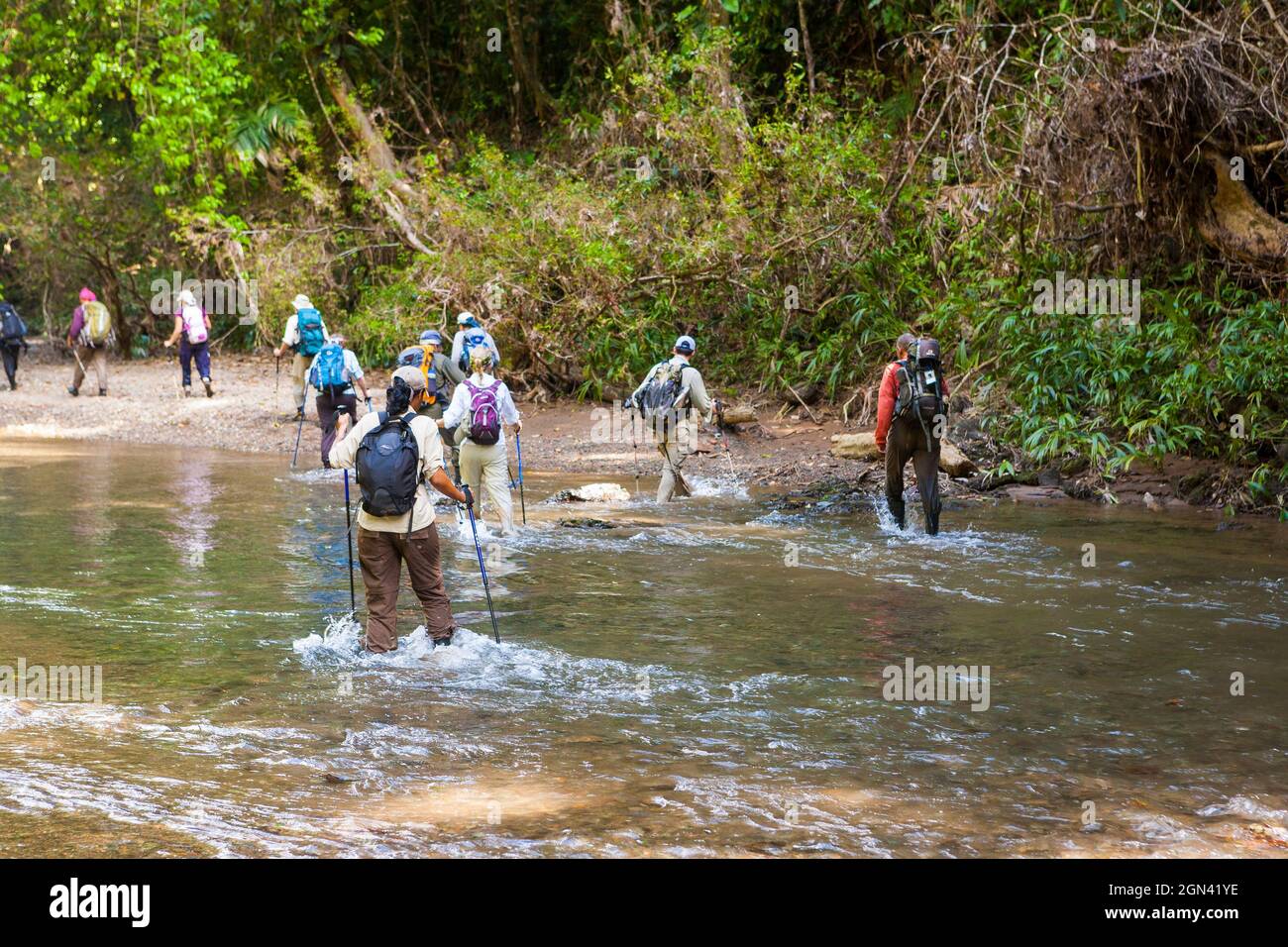 Eine Gruppe von Wanderern überquert einen Fluss entlang des alten Camino Real-Pfades, des Chagres-Nationalparks, der Republik Panama, Mittelamerika. Stockfoto