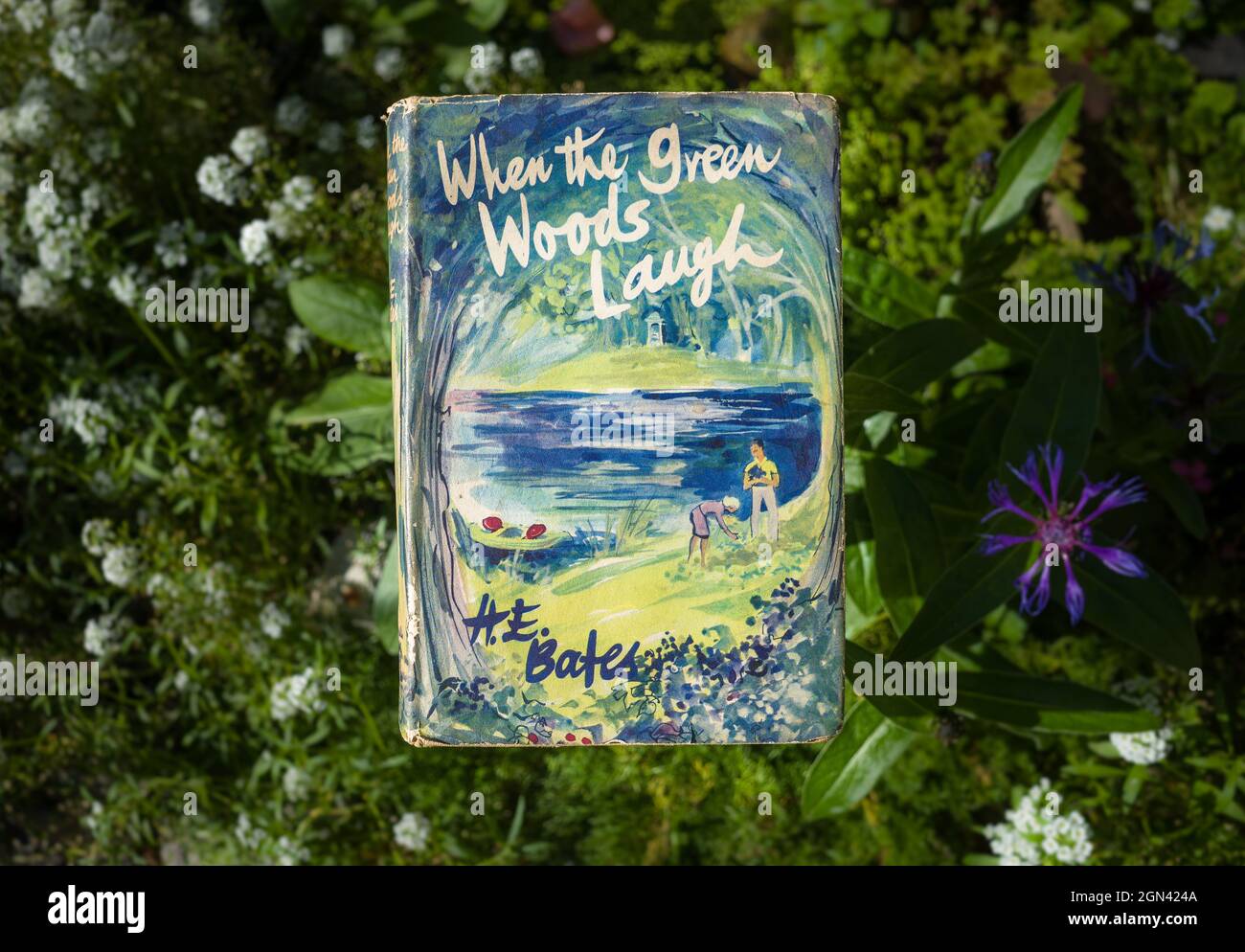 Ein Vintage-Exemplar des Buches „When the Green Woods Laugh“ von H.E Bates mit der Familie Larkin. Stockfoto