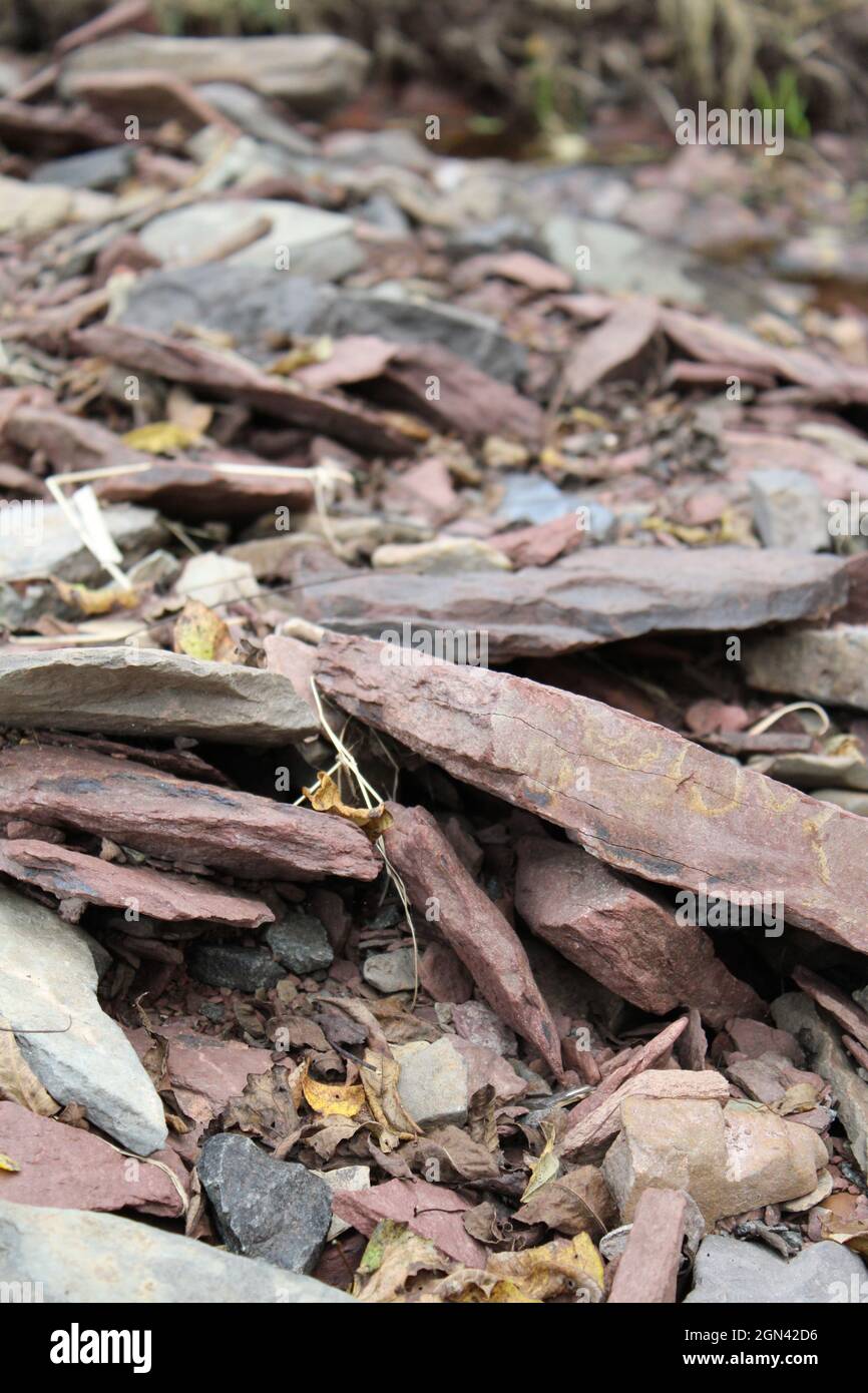 Ein Haufen farbenfroher Schieferfelsen Stockfoto