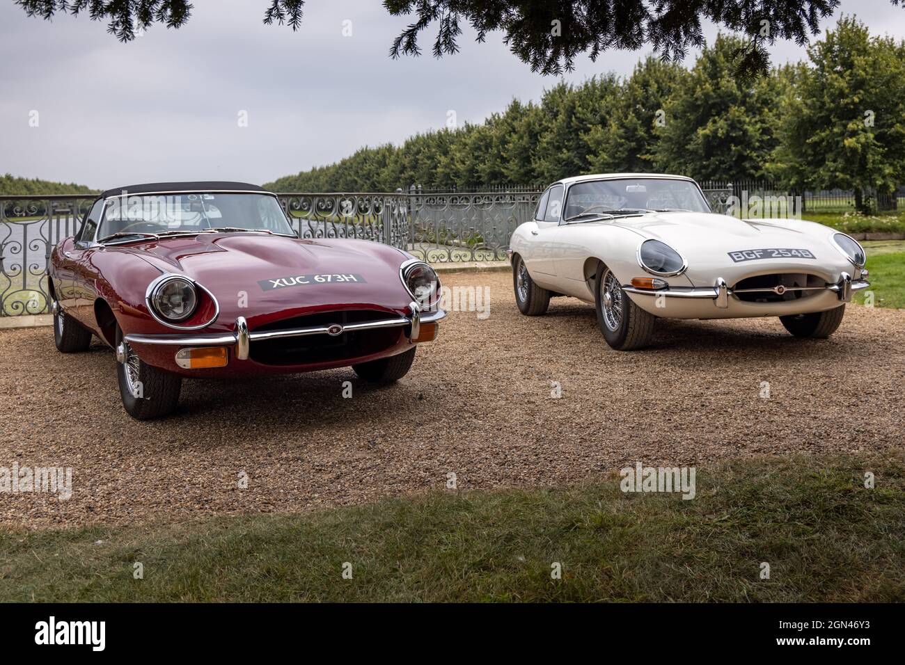 Klassische Jaguar E-Type-Fahrzeuge im Concours of Elegance 2021, Hampton Court Palace, London, Großbritannien Stockfoto