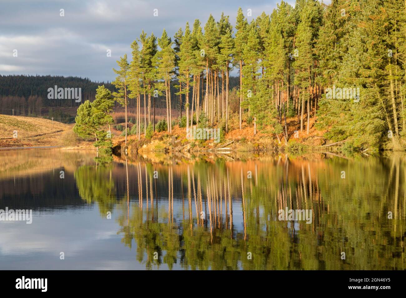 Reflexionen über den Stausee im Kielder Water and Forest Park, Northumberland, Großbritannien Stockfoto