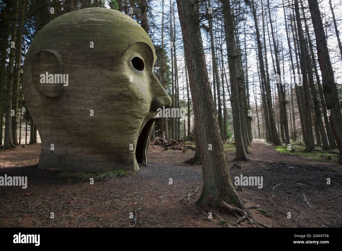 Silva Capitalis, Wald Kopf Skulptur, Teil des Kielder Wasser und Waldpark Kunst Trail, Northumberland, UK Stockfoto