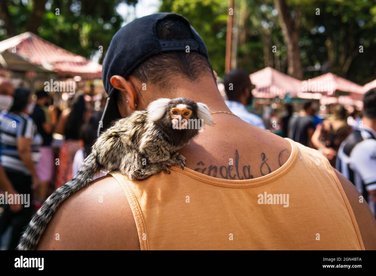 Mann, der auf der Hippie-Messe Belo Horizonte in Brasilien einen schwarzgetufteten Murmeltier (Mico estrela Affe) auf der Schulter trägt. Stockfoto