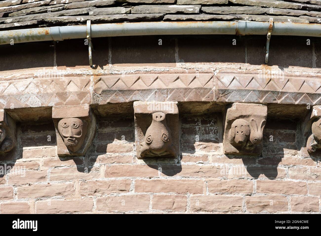 Kilpeck Herefordshire UK - Detail der vielen Steinkorbellen, die das denkmalgeschützte Gebäude der St Mary and St Davids Church Kilpeck schmücken Stockfoto