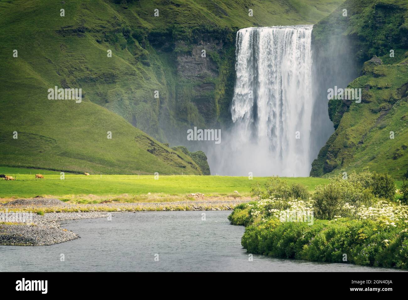 Skogafoss Wasserfalllandschaft im Süden Islands Stockfoto
