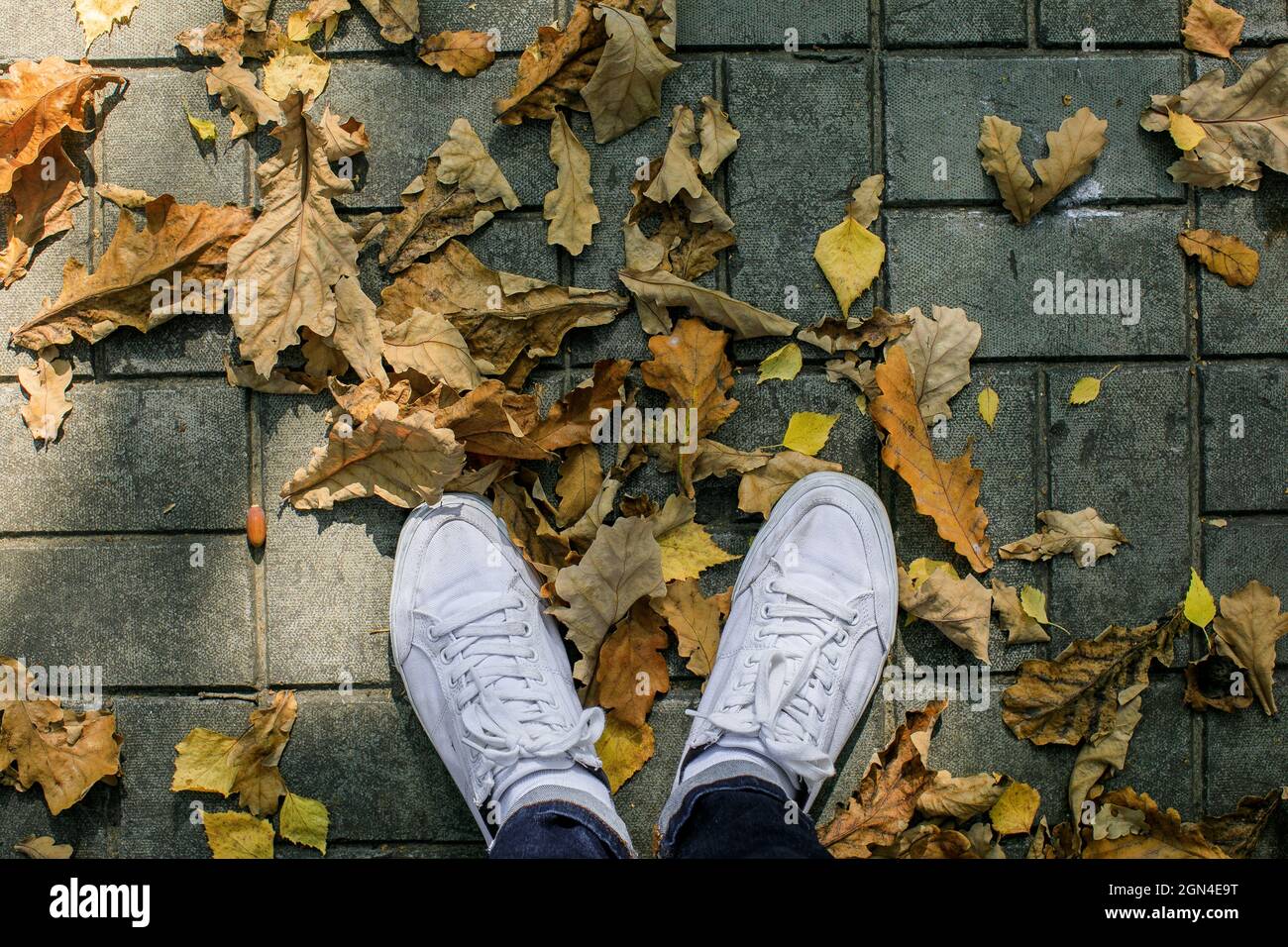 Herbstsaison in Hipster Stil Schuhe Stockfoto