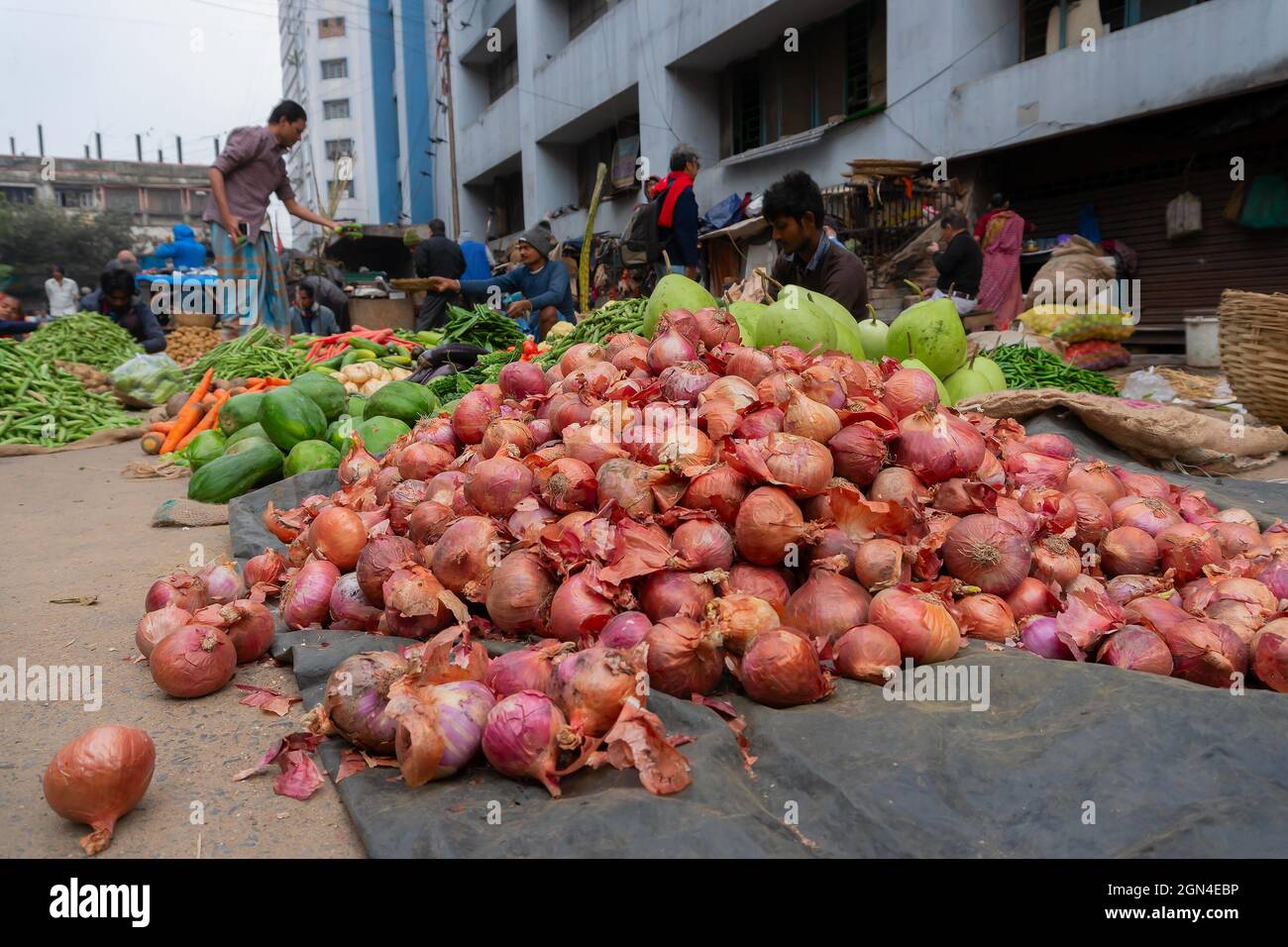 Kolkata, Westbengalen, Indien - 16. Dezember 2018 : die Zwiebel, Zwiebel oder Zwiebel, ist eine vegetabile, weit verbreitete Art der Gattung Allium Stockfoto
