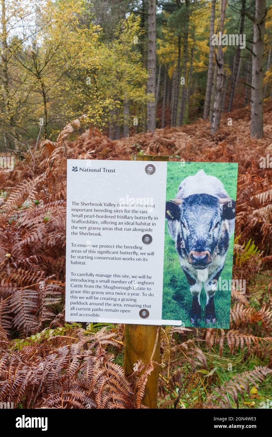 Schild des National Trust, das besagt, dass Longhorn-Rinder weidet werden, um Brutgebiete für kleine, von Perlen umrandete Fritillarschmetterlinge zu schützen. Stockfoto