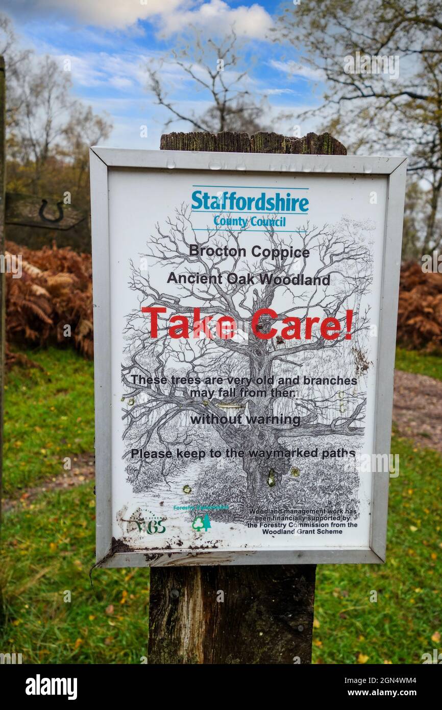 Ein Schild in Brocton Coppice, Cannock Chase AONB warnt vor Ästen, die von den alten Eichenwäldern fallen, Stafford, England, Großbritannien Stockfoto