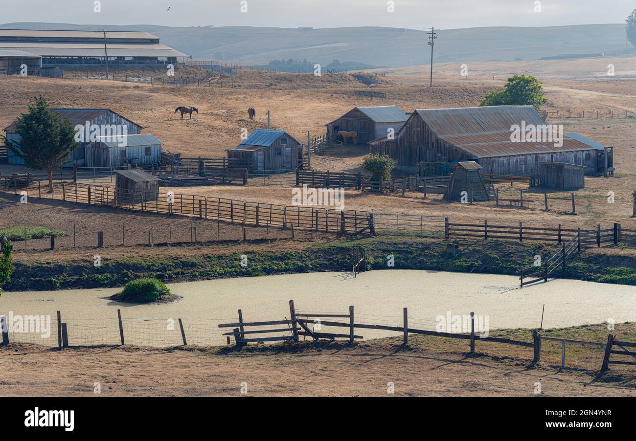 Ein Country-Western-Bauernhof mit Pferden und Scheune, der durch und durch atemberaubend ist. Stockfoto