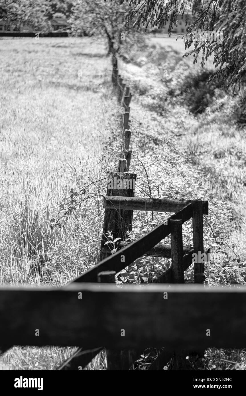 Schwarz-weiß Schuss eines Zauns auf einem Feld Stockfoto