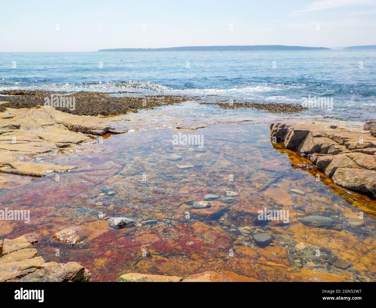 Gezeitenerfrischende Pools am Strand des Wonderland Trail Acadia National Park Stockfoto