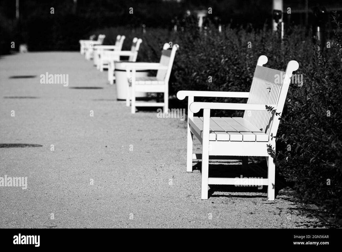 Perspektive von leeren weißen Bänken in einer Reihe an der Öffentlichkeit parkallee Stockfoto
