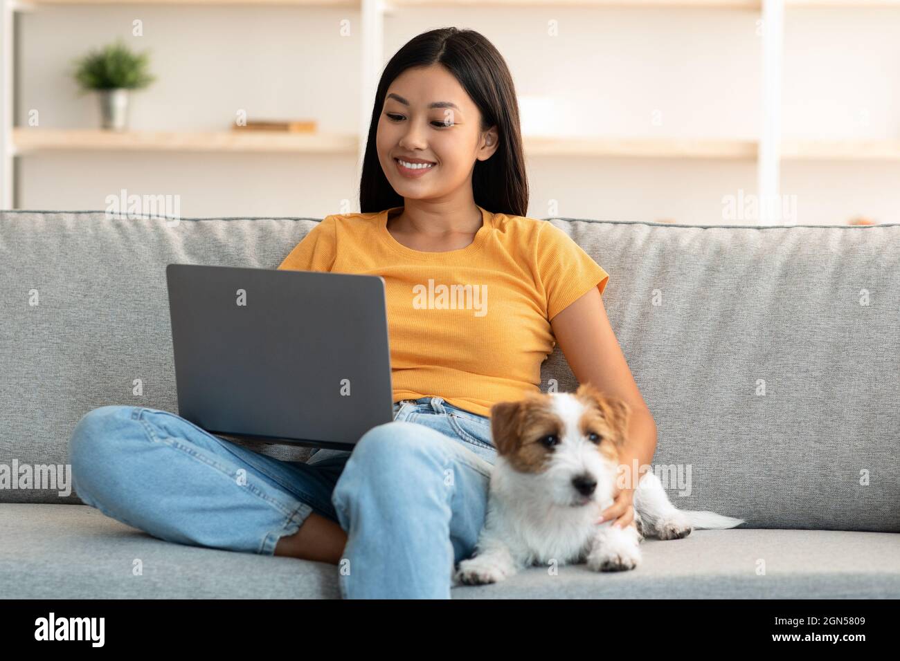 Treuer Hund, der von seiner Besitzerin mit einem Laptop ruht Stockfoto