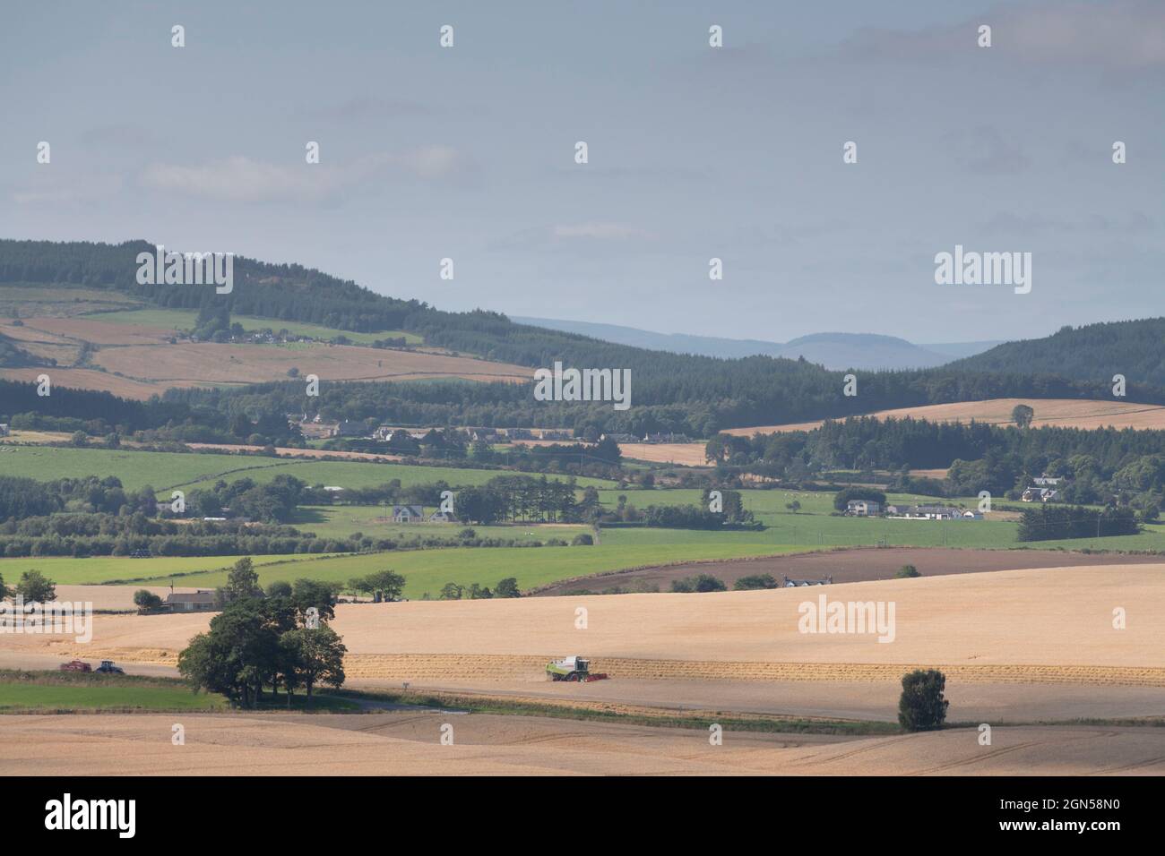 Ein Blick auf Getreidefelder in Corsendae in der Landschaft von Aberdeenshire im Sommer, mit Blick auf Tillyfourie mit der Suie in the Distance Stockfoto