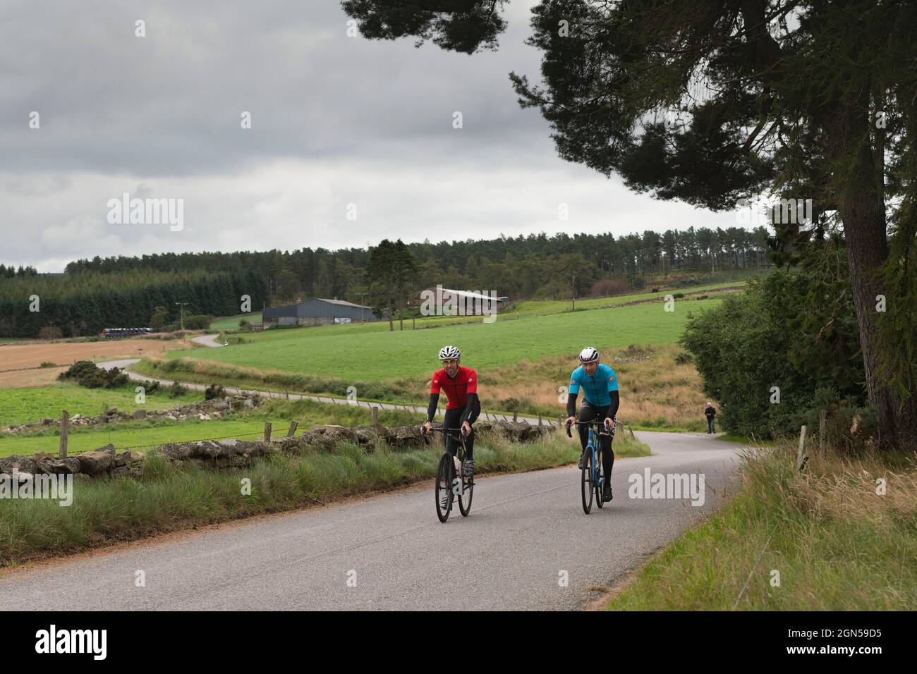 Zwei männliche Radsportler Radeln entlang einer Country Lane, die sich durch Farmland in der Landschaft von Aberdeenshire schlängelt Stockfoto