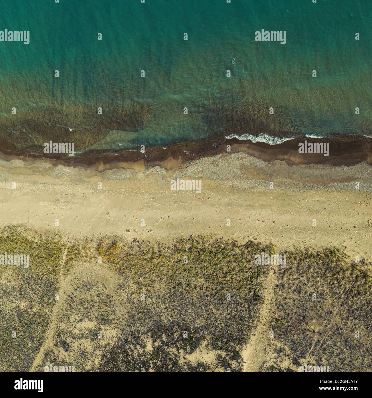 Luftaufnahme von Beach Grass, Strand, Erosion und Trails entlang der Küste von Lake Huron, Port Sanilac, Michigan Stockfoto