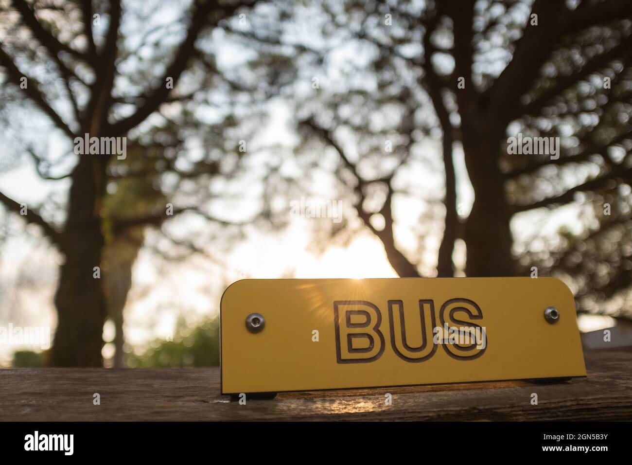 Gelbes Bus-Logo oben in Nahaufnahme noch isoliert auf einem verschwommenen Waldhintergrund Stockfoto