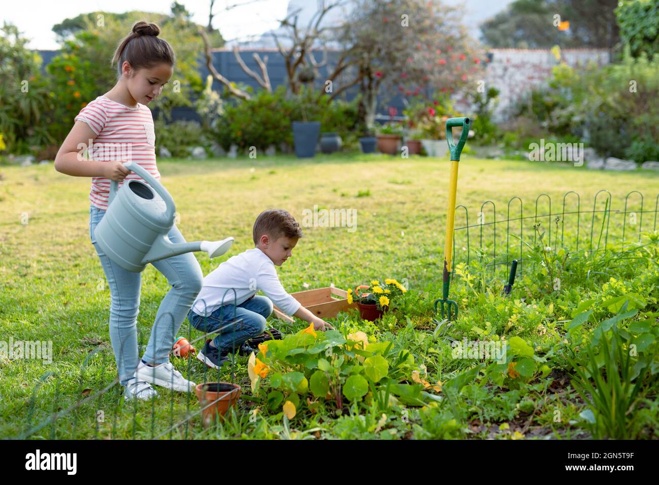 Glückliche kaukasische Schwester und Bruder, die Pflanzen zusammen gießen Stockfoto