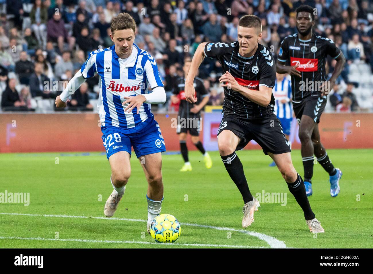 Odense, Dänemark. September 2021. Die Mads Frokjaer-Jensen (29) von ob und Emil Holm (3) von Soenderjyske wurden während des 3F Superliga-Spiels zwischen Odense Boldklub und Soenderjyske im Nature Energy Park in Odense gesehen. (Foto: Gonzales Photo - Kent Rasmussen). Stockfoto