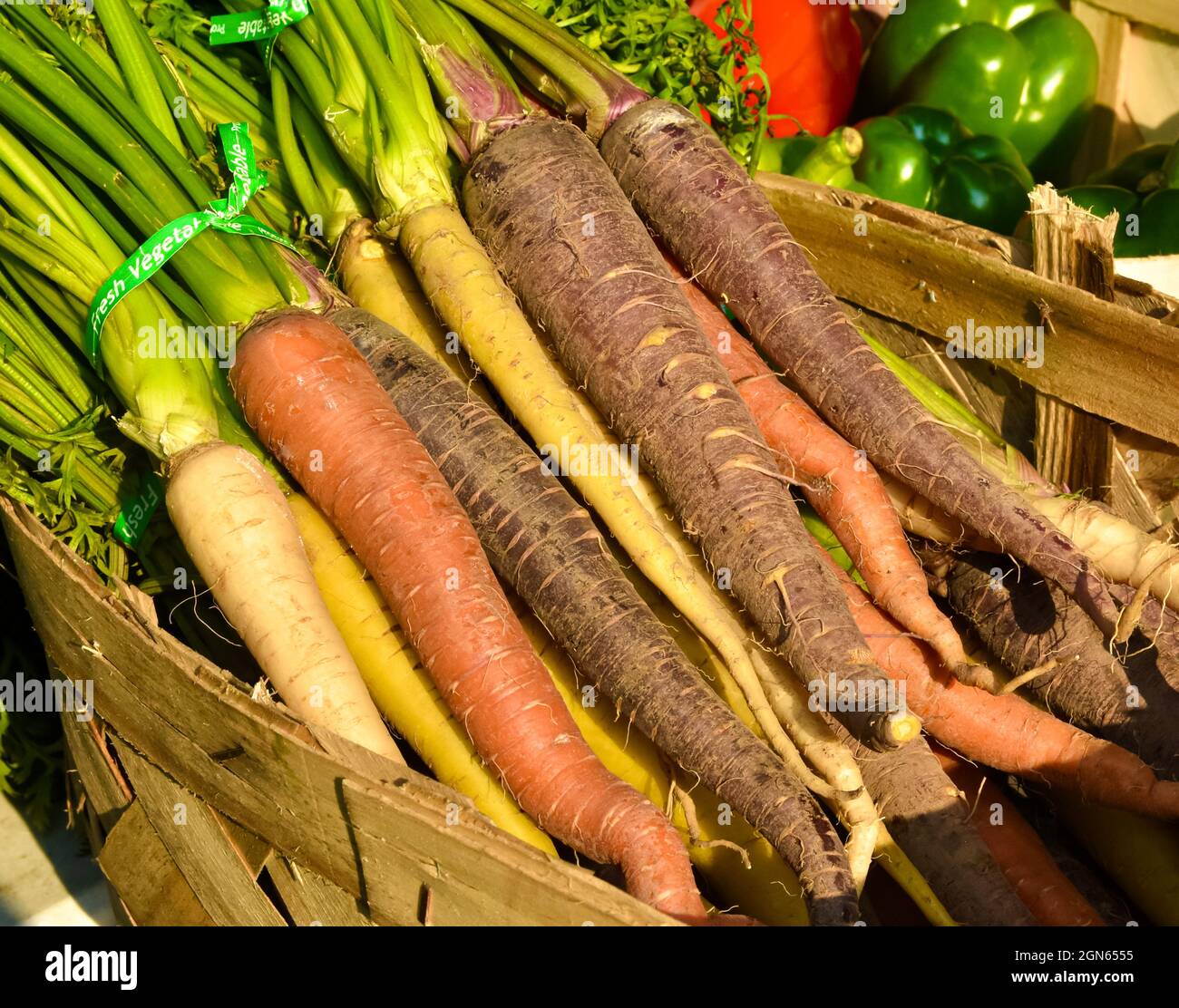 Nahaufnahme von Karotten in einem Regenbogen von Farben auf einem lokalen Bauernmarkt. Long Island, New York. Stockfoto