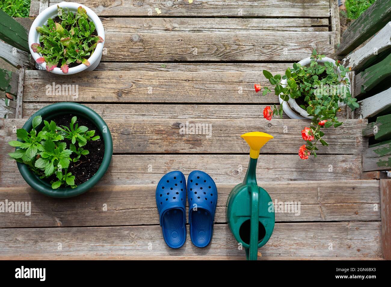 Ländliche Szene. Gummischuhe, Gießkannel, Blumen. Stockfoto