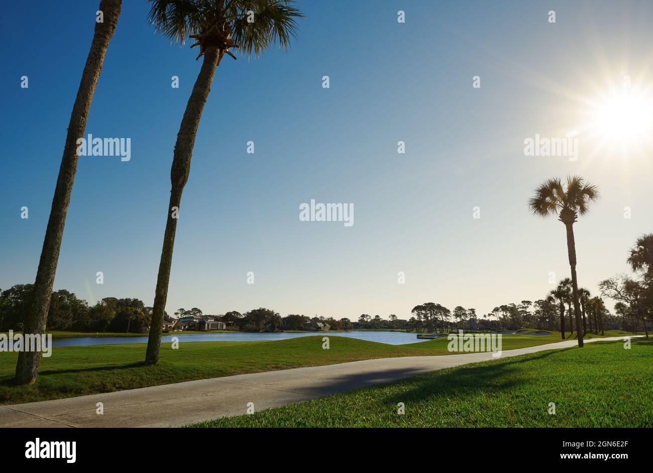 Allee mit Palmen neben dem Teich. Florida, USA Stockfoto