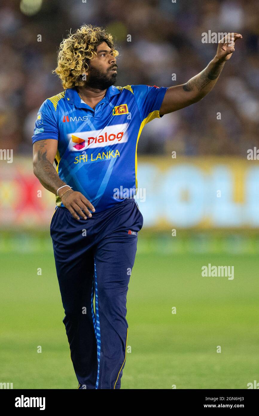 MELBOURNE, AUSTRALIEN - 01. NOVEMBER: Lasith Malinga aus Sri Lanka fängt beim Twenty20 International Cricket Match zwischen Australien und Sri Lanka am Melbourne Cricket Ground am 01. November 2019 in Melbourne, Australien, den Ball ein. Kredit: Dave Hewison/Alamy Live Nachrichten Stockfoto