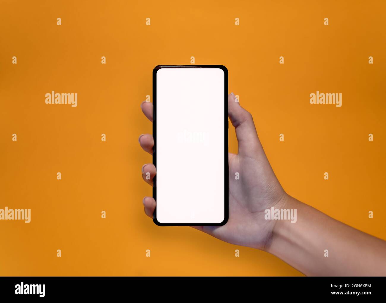 Hände halten ein Smartphone auf gelbem Hintergrund Stockfoto