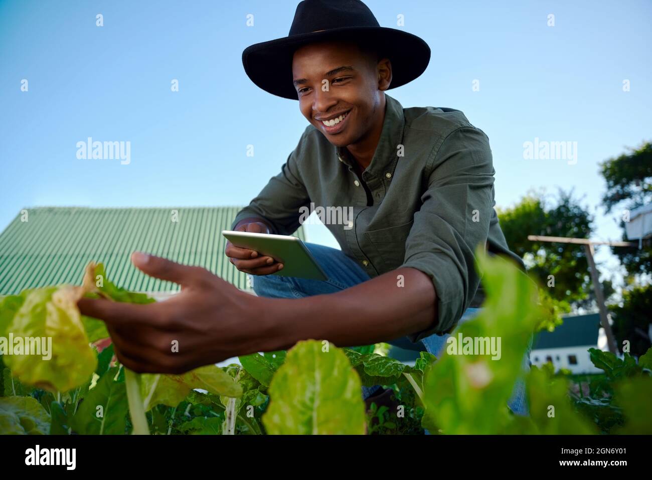 Gemischter Rassenbauer, der im Gemüsepflaster arbeitet und digitale Tablets hält Stockfoto