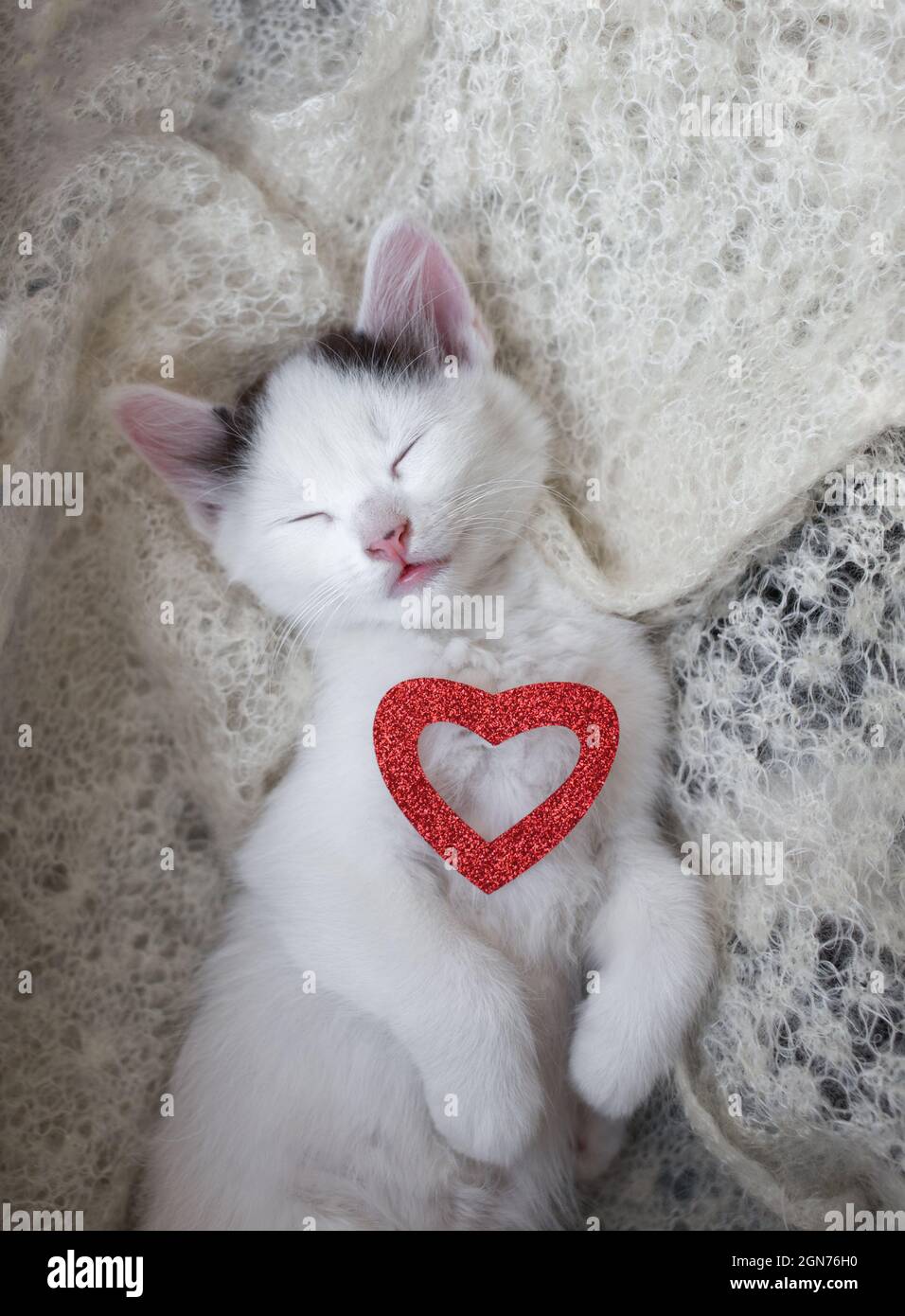 Das schlafende Kätzchen liegt mit einem roten Herz auf der Brust auf einer weichen Decke. Ein Symbol der Liebe und Zärtlichkeit. Valentinstag-Konzept. Draufsicht Stockfoto