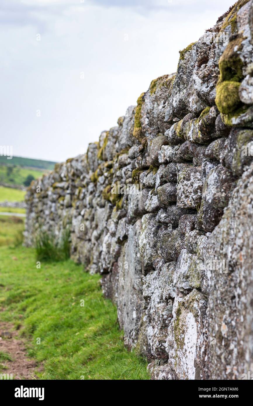 Traditionelle Trockensteinmauer Dartmoor Devon England Stockfoto