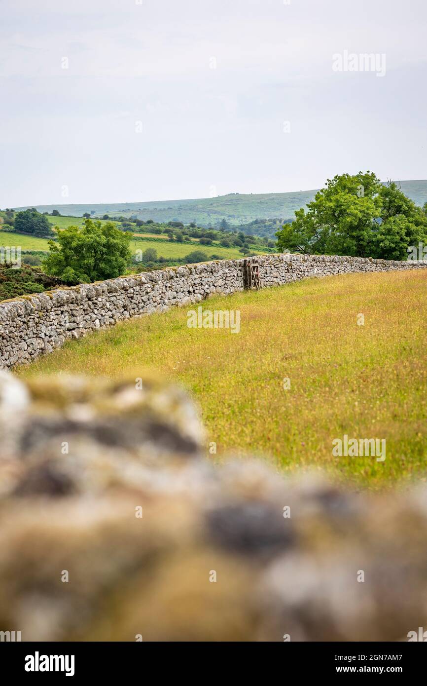 Traditionelle Trockensteinmauer Dartmoor Devon England Stockfoto