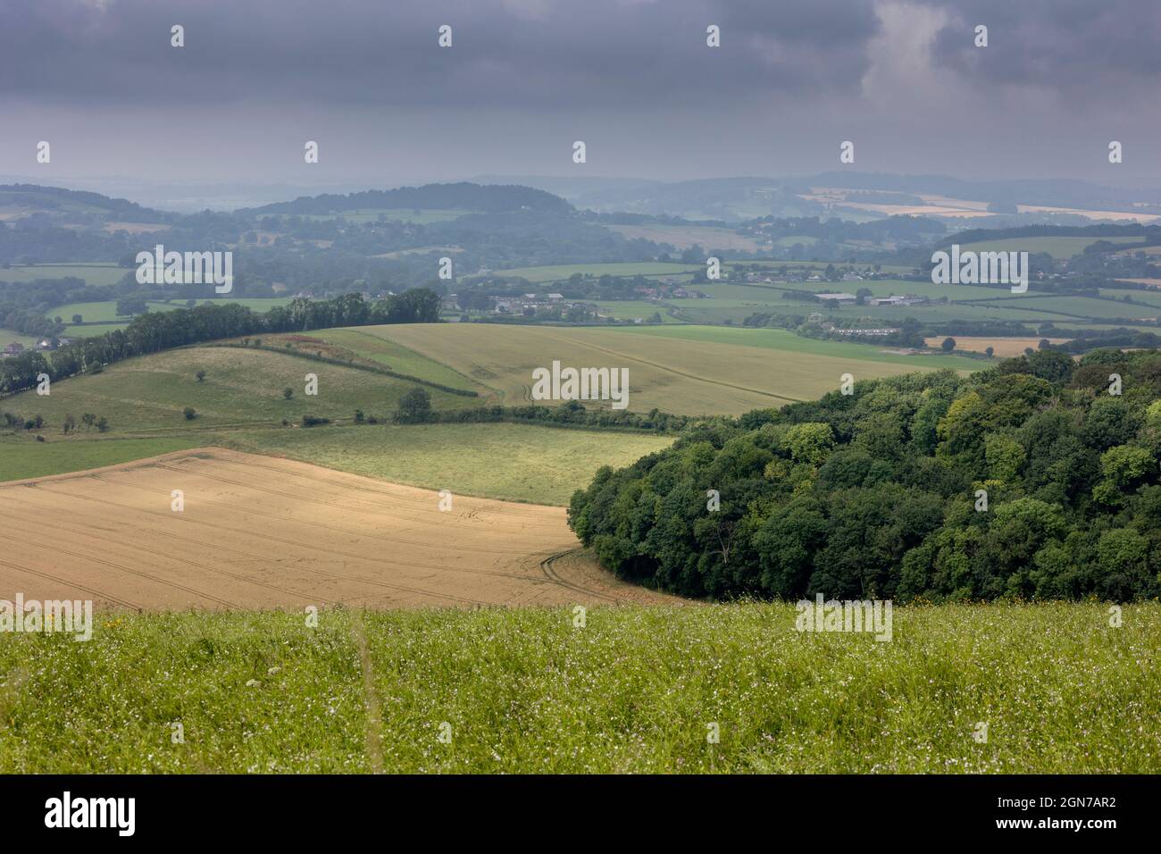 Offene Landschaft in der Nähe von Chalton Shaftesbury Dorset England Stockfoto