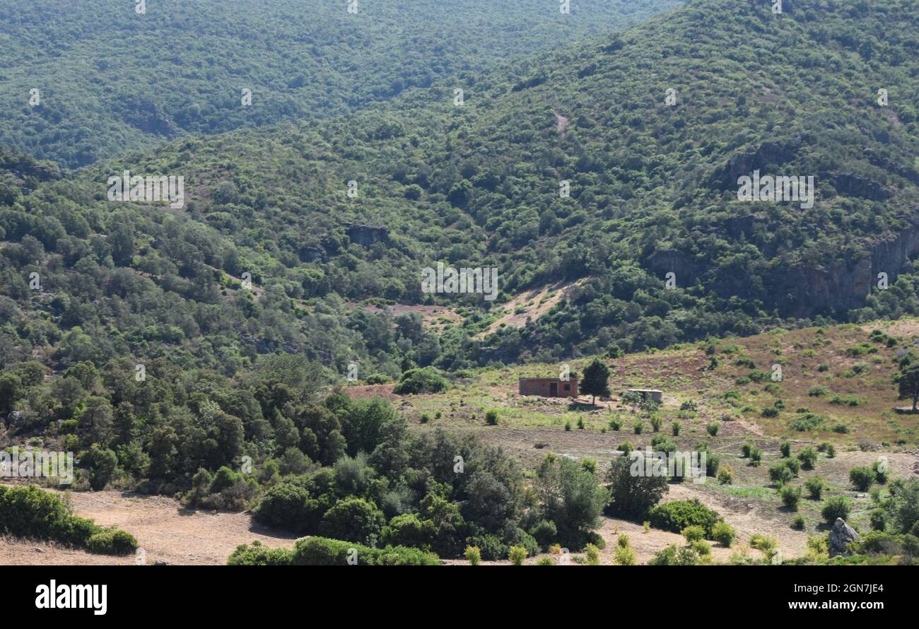 Isoliertes Berghaus in einem entwaldeten Gebiet im Norden Marokkos Stockfoto