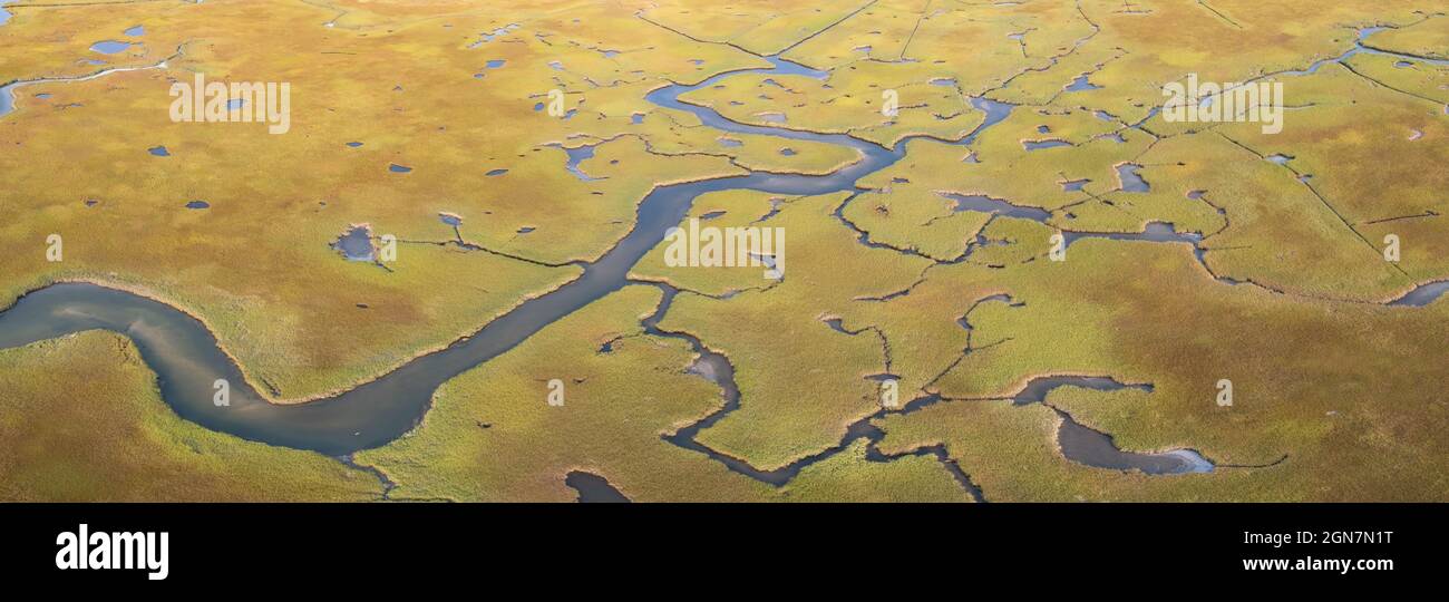 Kanäle schlängeln sich durch ein Salzgesumpf in Pleasant Bay, Cape Cod, Massachusetts. Diese Art von Feuchtgebiet Lebensraum ist lebenswichtige Futterplätze für Wildtiere. Stockfoto
