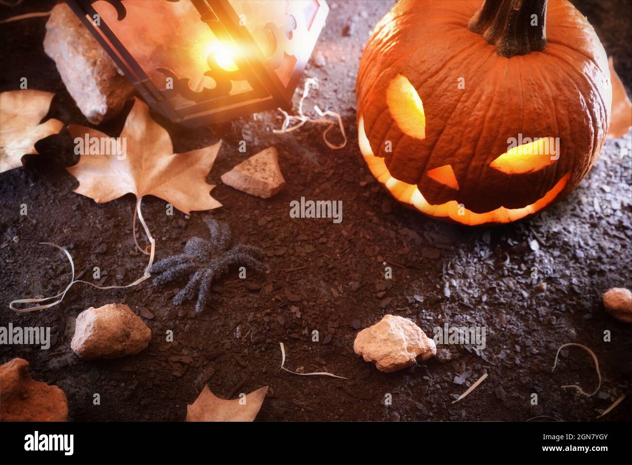 Halloween mit geschnitztem und beleuchtetem Kürbis mit Spinnen bei Nacht in Waldblau. Erhöhte Ansicht. Horizontale Zusammensetzung. Stockfoto