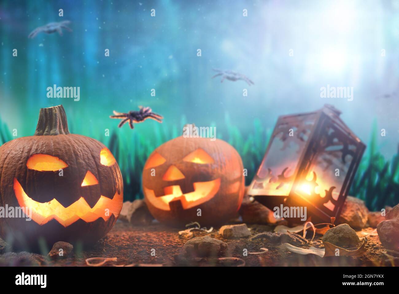 Zwei halloween Kürbis und beleuchtete Laterne mit Spinnen bei Nacht in Waldblau. Vorderansicht. Horizontale Zusammensetzung. Stockfoto