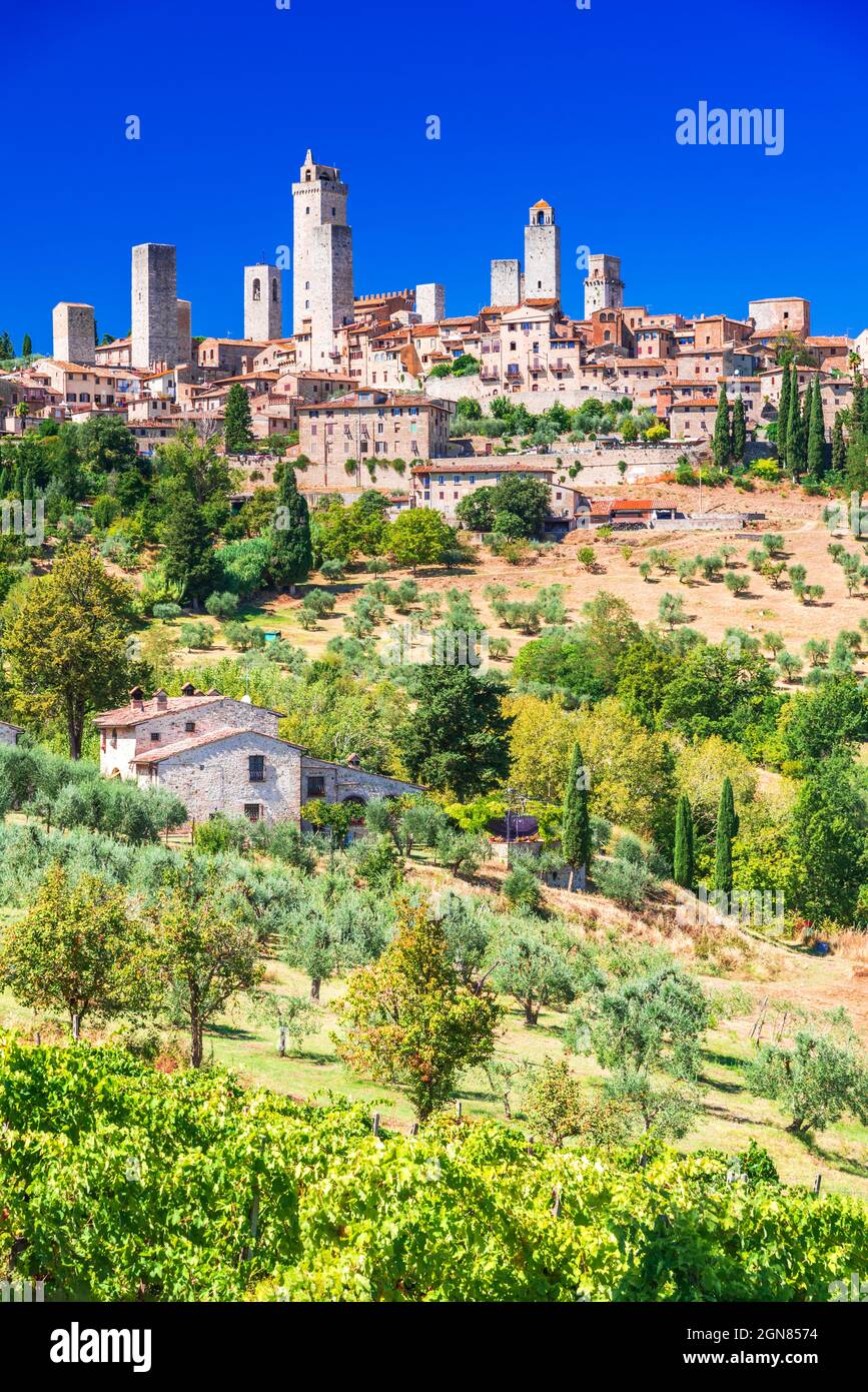San Gimignano, Italien. Mittelalterliche Skyline und berühmte Türme Sonnentag. Italienische Olivenbäume im Vordergrund. Toskana einer der berühmten Orte Europas Stockfoto