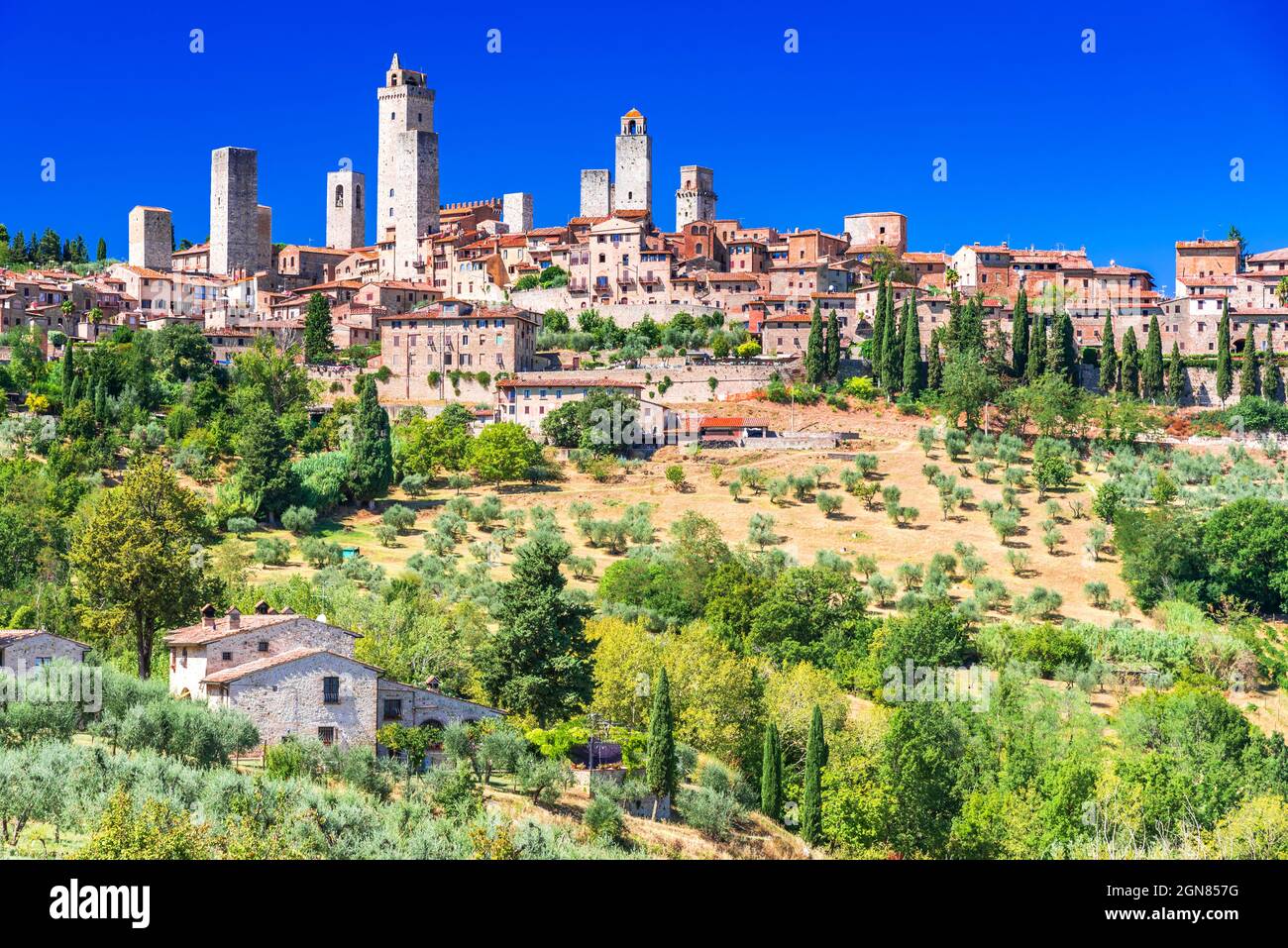 San Gimignano mittelalterliche Stadt Skyline und berühmten Türmen sonnigen Tag. Italienische Olivenbäume im Vordergrund. Toskana, Italien, Europa. Stockfoto